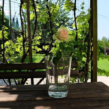 In Collina B&B Trydent Zewnętrze zdjęcie
